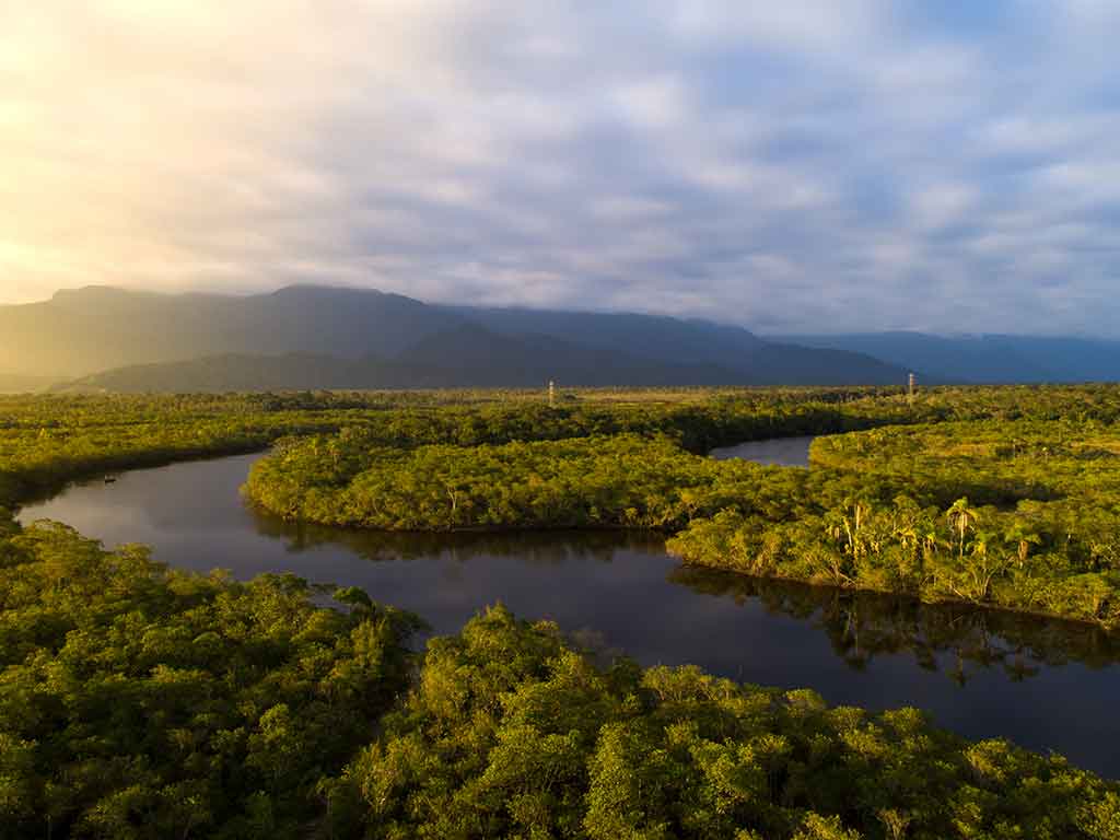 An aerial view of a winding waterway of the Amazon in Colombia, making its way around a lush green forest on a clear day with some clouds in the sky