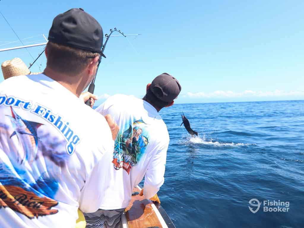 Two anglers look on along the side of a boat as a Marlin leaps out of the water in an attempt to break free from the line on a sunny day in Costa Rica