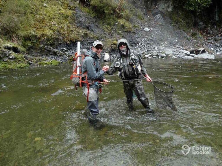 Fishing in AUCKLAND The Complete Guide
