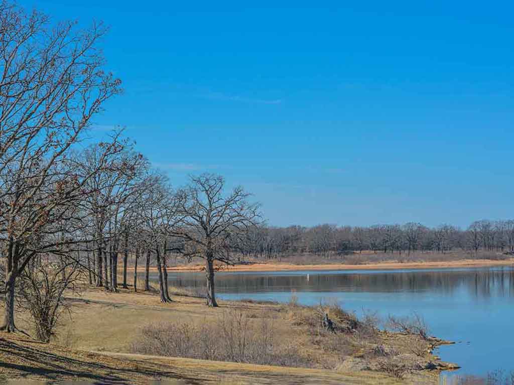 Barren trees stand overlooking a yellow-brown shoreline and a blue Lake Texoma on a clear day in Oklahoma