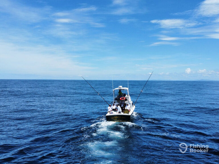How to Go Marlin Fishing in Costa Rica: An Angler’s Guide for 2024