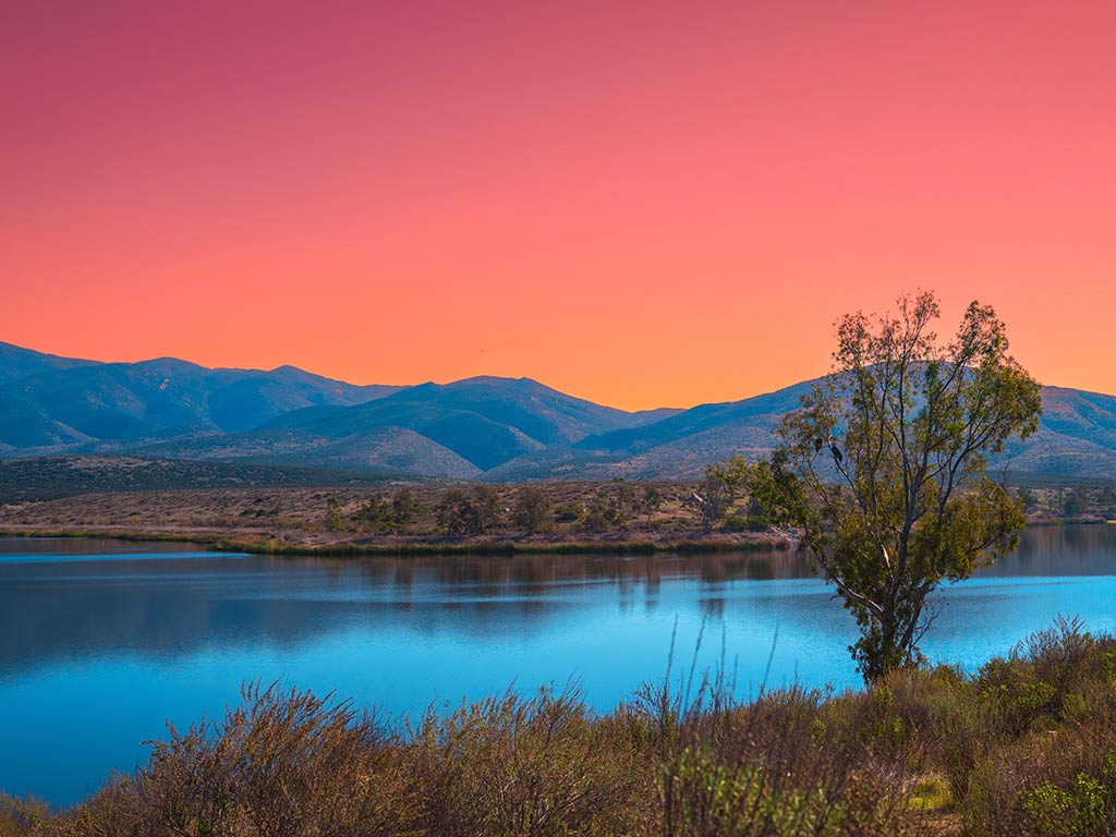 A view across Otay Reservoir at sunset on a clear day, with a tree visible on the right of the image, dazzling blue water in the middle of the image, and a red sky behind mountains in the distance