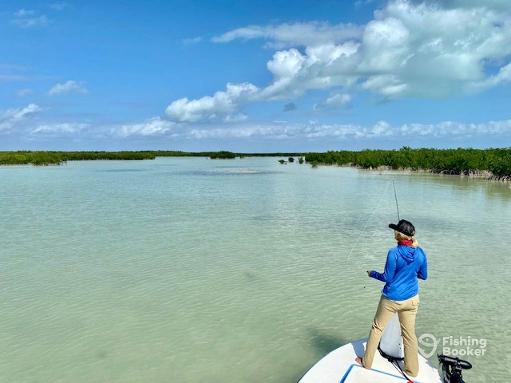 A view from behind of a man in a blue shirt, casting a fly fishing line into the clear flats waters of the Florida Keys on a sunny day