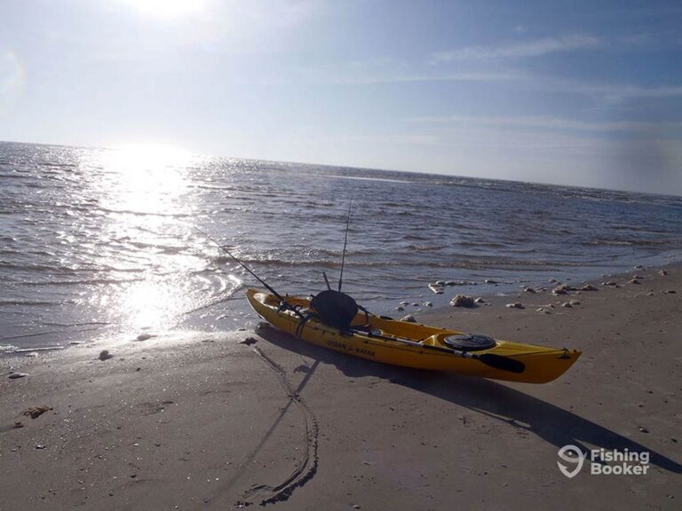 Mount Pleasant Fishing The Complete Guide