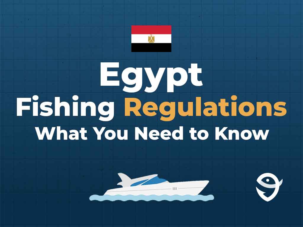An infographic featuring the flag of Egypt along with text that says "Egypt Fishing Regulations What You Need to Know" against a dark blue background with a vector of a boat and the FishingBooker logo