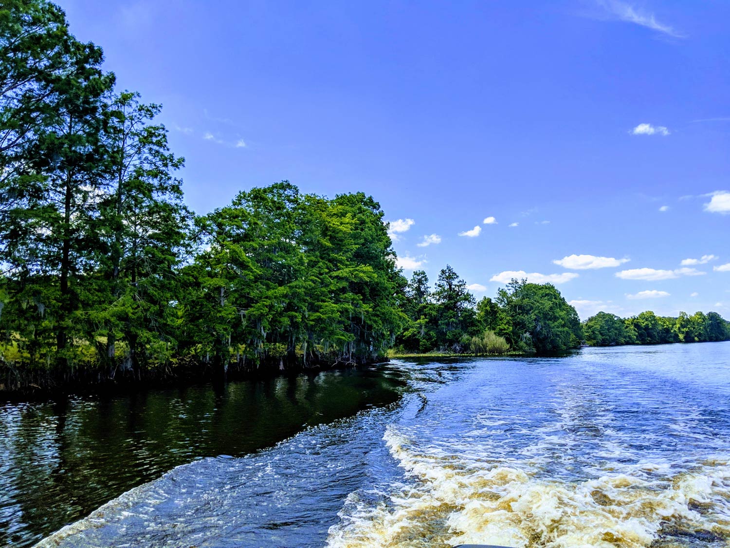 Lake Kissimmee and its surrounding greenery viewed from a boat, with waves from the vessel extending behind it