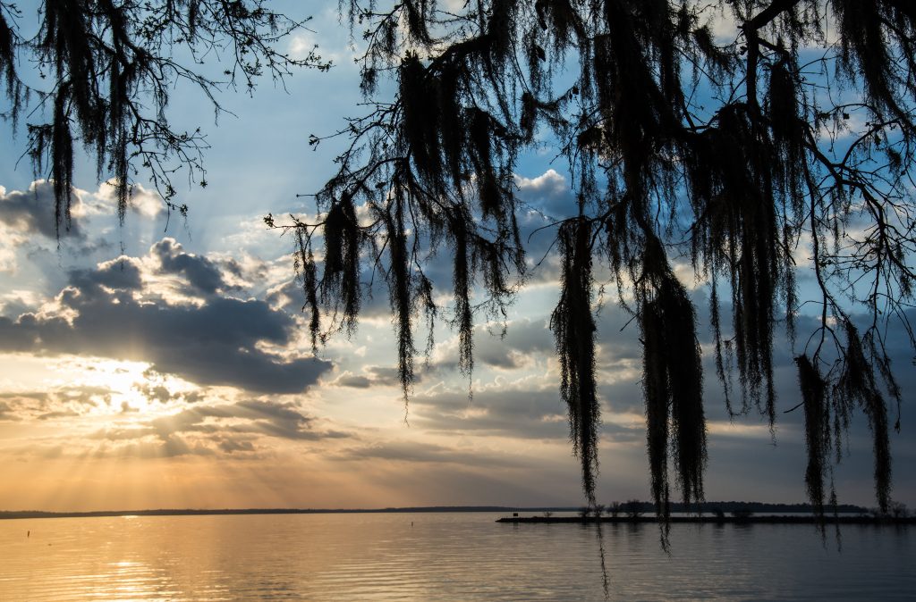 a view of Lake Livingston, with the sun in the clouds in the background