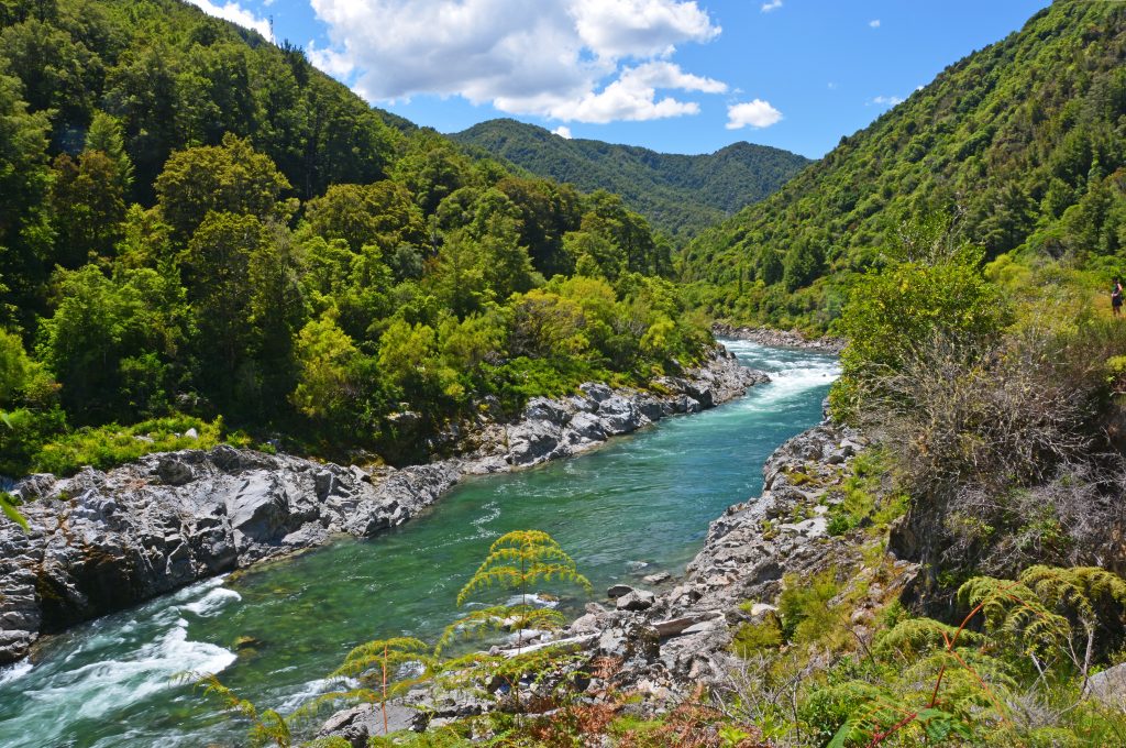 Buller River