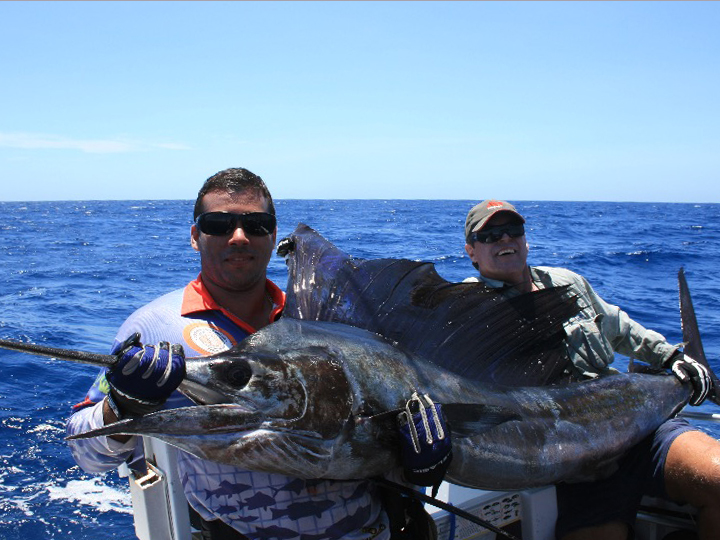 anglers holding a large Sailfish on a fishing boat