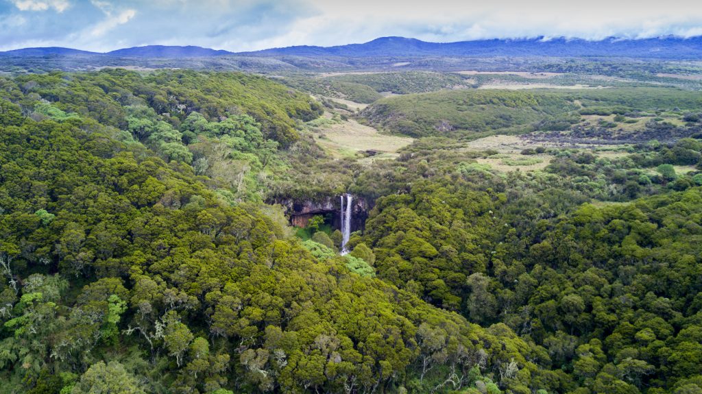 an aerial view of the forest and waterfall in Aberdare National Park, Kenya