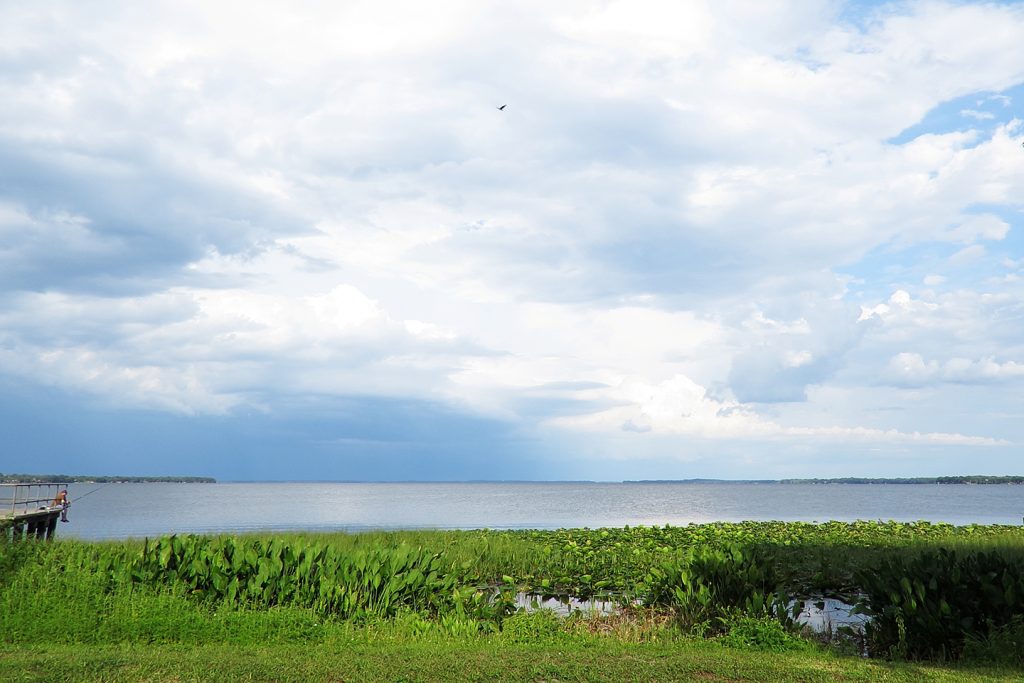 A view from the shore of Lake Harris, Florida with green weeds, blue-grey water, and cloudy sky. An angler is fishing from a small jetty on the left and a bird is flying in the sky in the center.