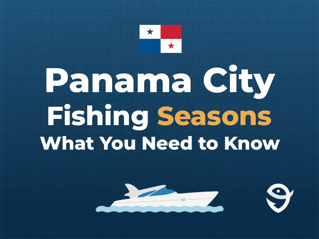 An infographic featuring the flag of Panamá along with text that says "Panama City fishing seasons, what you need to know" against a dark blue background