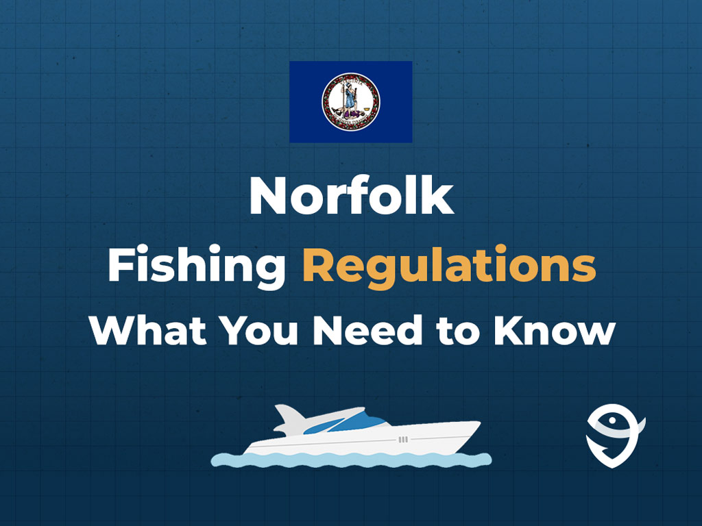 An infographic featuring the flag of Virginia along with text that says "Norfolk Fishing Regulations What You Need to Know" against a dark blue background.