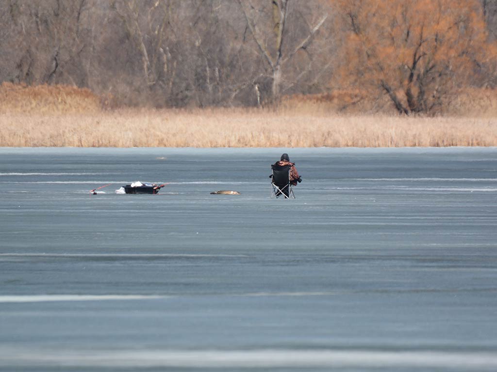 A view across a frozen lake towards a person ice fishing in spring, with barren foliage visible on the shoreline behind them