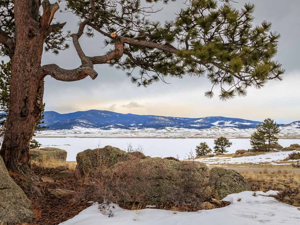 A view of a tree in the left side of the photo with its branches partially covering the sky and Colorado's frozen Eleven Mile Reservoir in the distance.