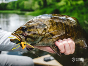 The Best Smallmouth Bass Bait: An Angler’s Guide