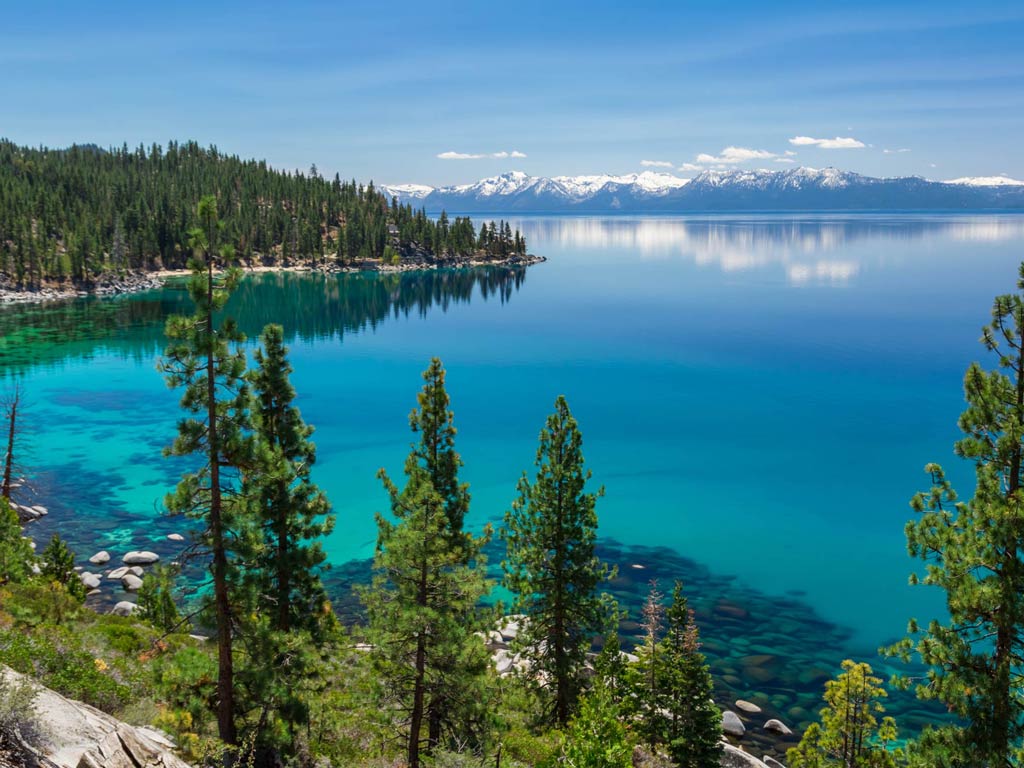 A view of Lake Tahoe surrounded by lush forests on a bright spring day with snow-capped mountains visible in the distance. 