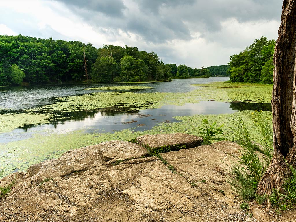 A view across Lake Wawayanda, New Jersey, with plenty of vegetation covering the lake ona cloudy day
