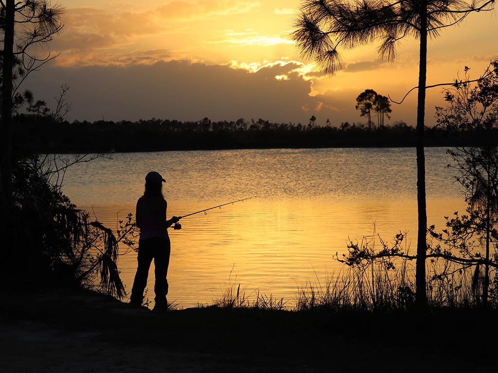 A view from behind of a silhouette of a woman casting into a lake in the Everglades at sunset