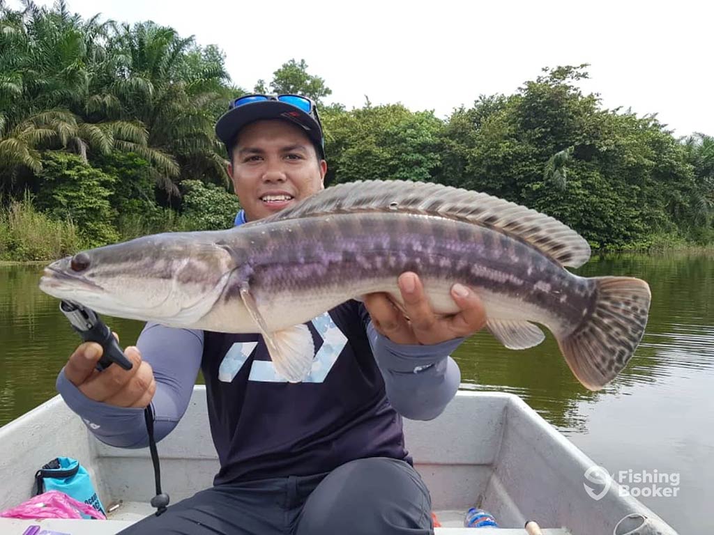 A young man sitting on a small boat on a fishing pond and holding a large Snakehead across his chest with murky waters and greenery visible behind him