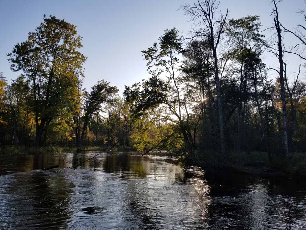 A photo of the Pere Marquette River near Baldwin, Michigan in the fall, with the river's dark waters surrounded by trees visible