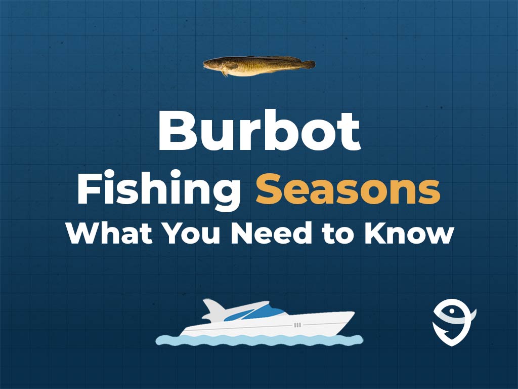 An infographic featuring a vector of a Burbot fish above text saying "Burbot Fishing Seasons, What You Need to Know" above a vector of a boat and the FishingBooker logo against a blue background