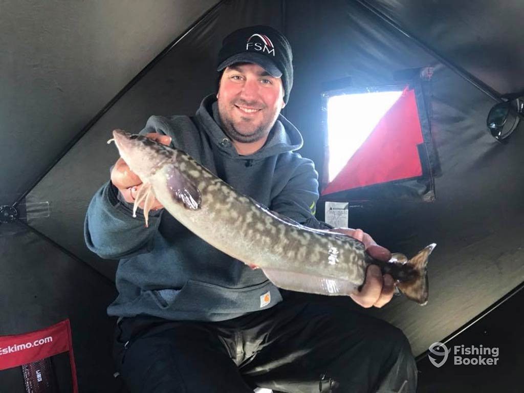 A man in winter fishing gear, sitting in an ice hut and posing with a sizeable Burbot