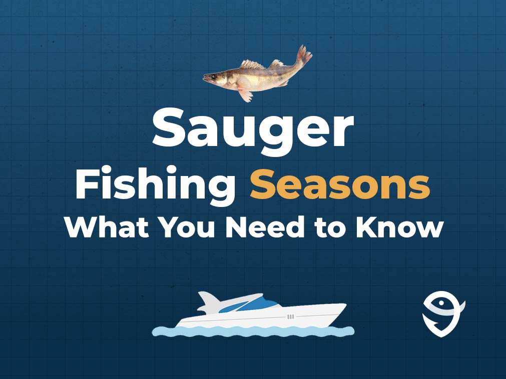 An infographic featuring a vector of an Sauger fish above text saying "Sauger Fishing Seasons, What You Need to Know" above a vector of a boat and the FishingBooker logo against a blue background