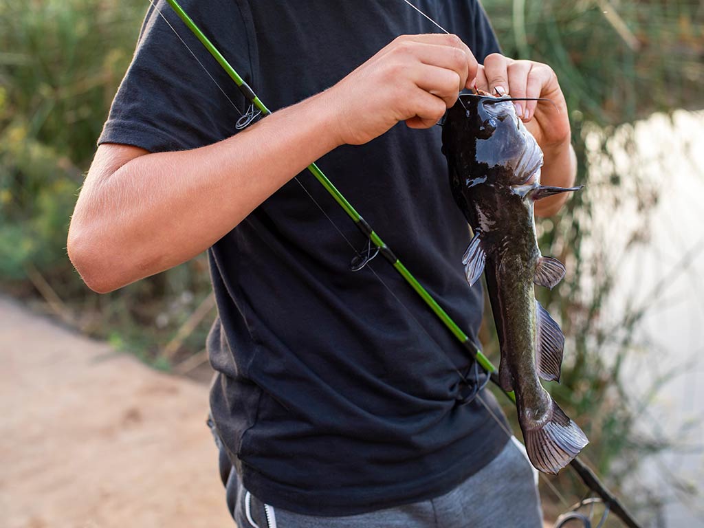 A view of the midrift of a teenage boy as he attemps to pull the hook out of a Bullhead Catfish's mouth with his rod resting against his arm