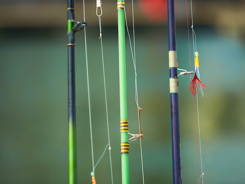 Three fishing rods stand upright, prepared with the adequate line and lures for a successful day on the water