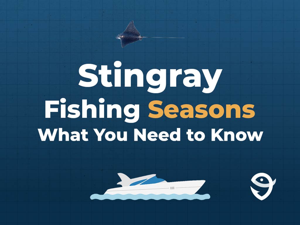 An infographic featuring a vector of a Ray fish above text saying "Stingray Fishing Seasons, What You Need to Know" above a vector of a boat and the FishingBooker logo against a blue background