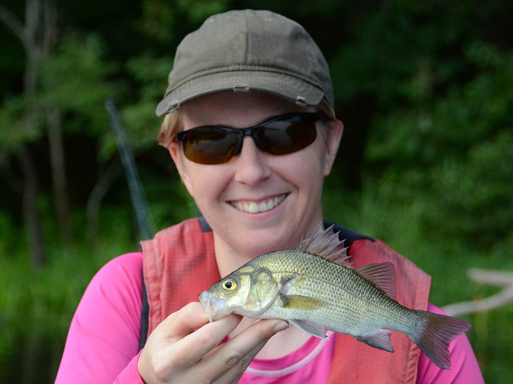 A closeup of a woman in black sunglasses, a baseball cap, and a pink sweater holding a small White Perch while smiling