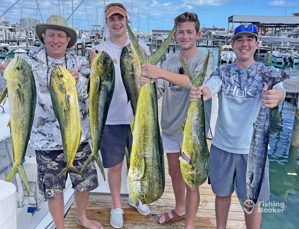 Four young male anglers standing on a dock in the Bahamas after a successful fishing charter showing off their haul of Mahi Mahi and Wahoo