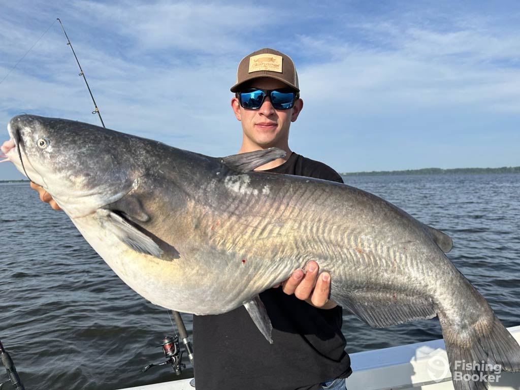 A photo of an angler standing on a charter boat and posing with a huge Blue Catfish he caught in the Upper Chesapeake Bay in Maryland