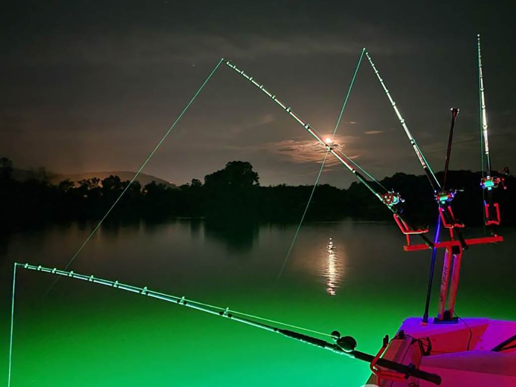 A view of three fishing rods set up for night fishing off a boat in Pennsylvania with lights brightening up the water so the anglers can find fish