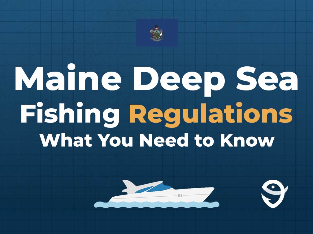 An infographic showing the state flag of Maine along with text that says "Maine deep sea fishing regulations what you need to know" against a dark blue background.