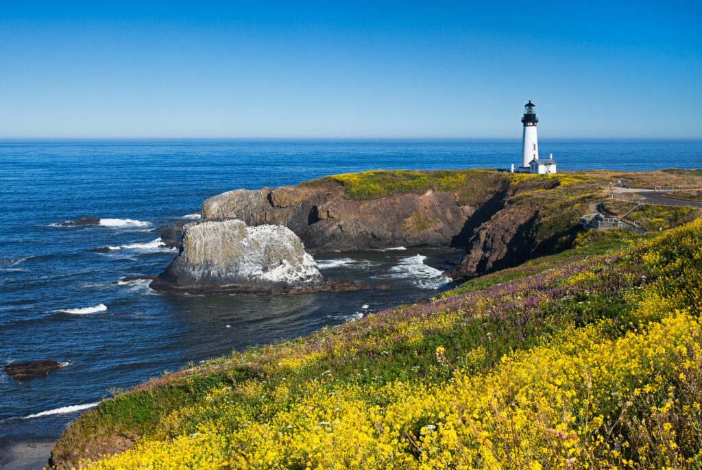 A view from a hill looking towards a small outcropping of land and a lighthouse on top near Newport, OR, on a clear day