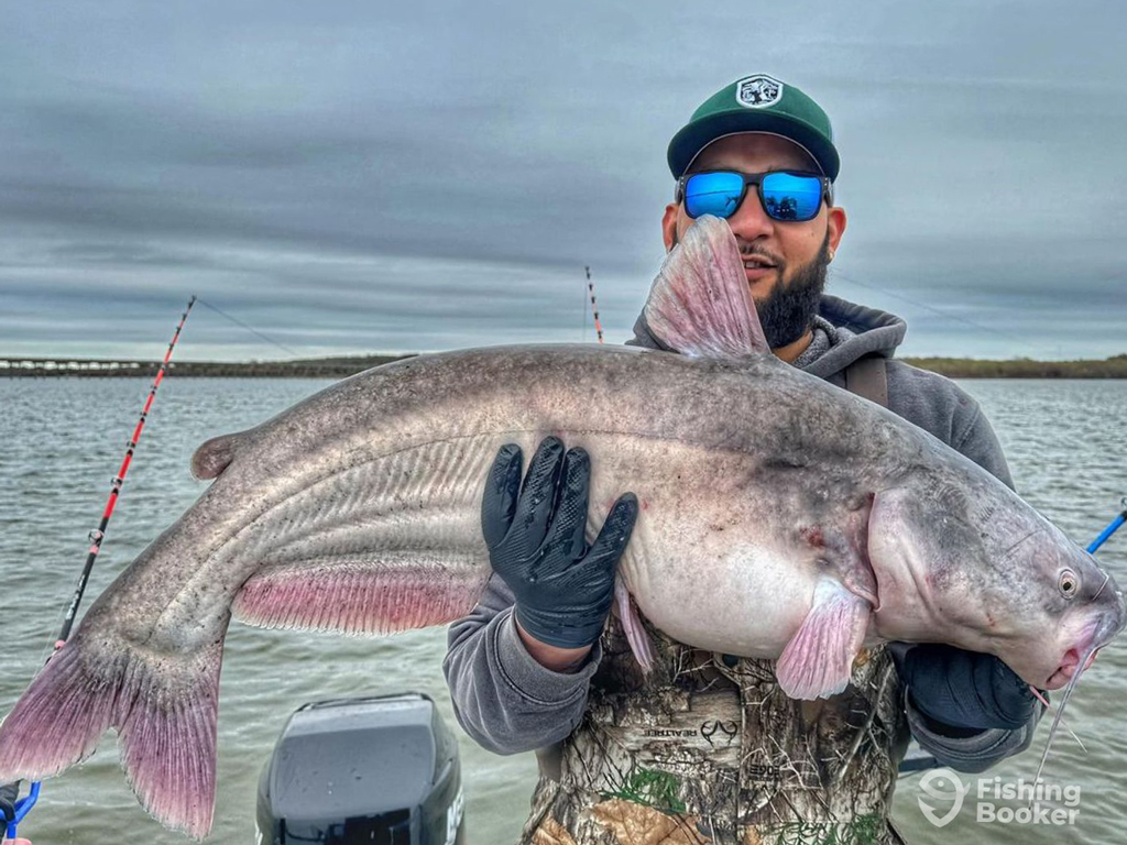 A photo featuring a proud angler while standing on a charter boat during the colder season and posing with a big Cat he caught in Texas