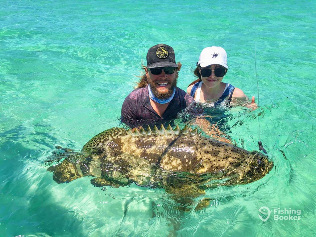 A man and a woman up to their chests in the clear waters of the Florida Keys holding a medium-sized Goliath Grouper on a clear day
