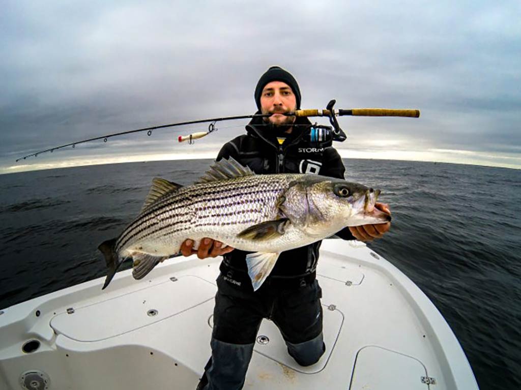 A man kneeling on the bow of a fishing boat and holding his fishing rod between his teeth, a Striped Bass (or "Striper) in his hands, with a popper visible on his line as a lure on a cloudy day
