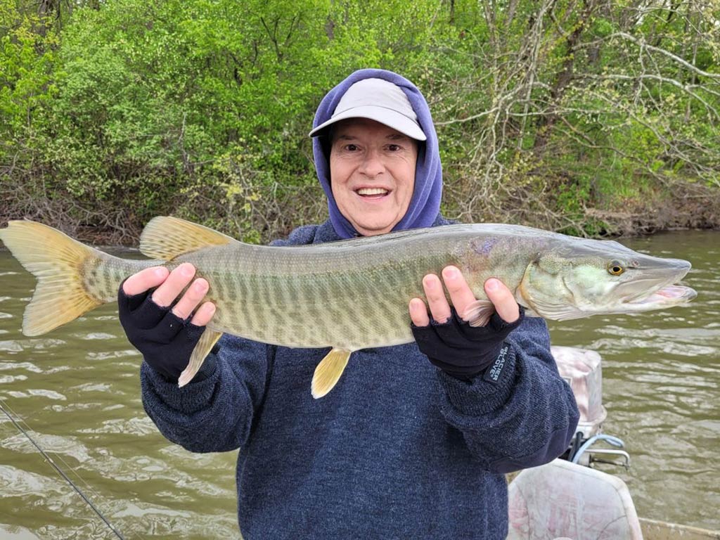 A person in a baseball cap holding a Muskellunge on a river with greenery visible behind them