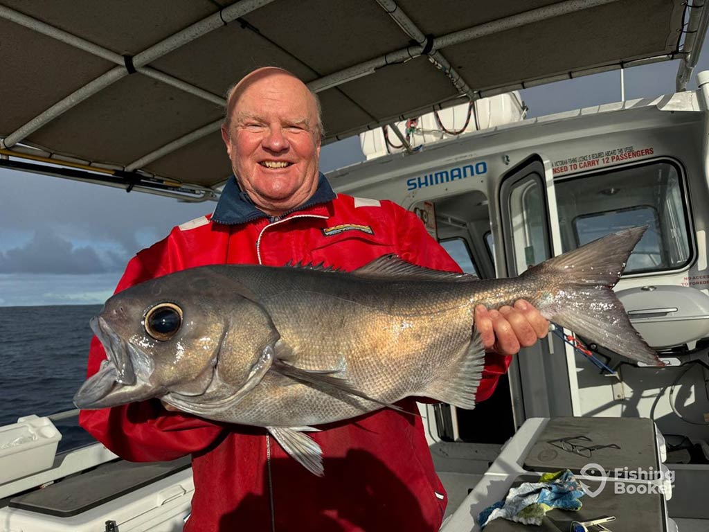 A middle-aged man in a red coat smiling and holding a large Bluenose Warehou on a fishing charter out of Victoria, Australia