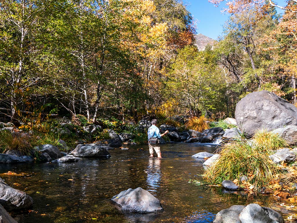 A view from behind of a male fly angler casting their line while fishing in a shallow-water creek near Sedona, AZ