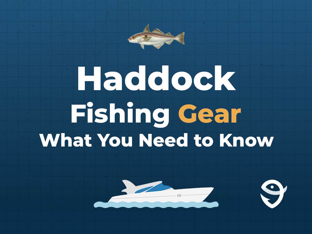 An infographic featuring a vector of a Haddock fish above text saying "Haddock Fishing Gear, What You Need to Know" above a vector of a boat and the FishingBooker logo against a blue background