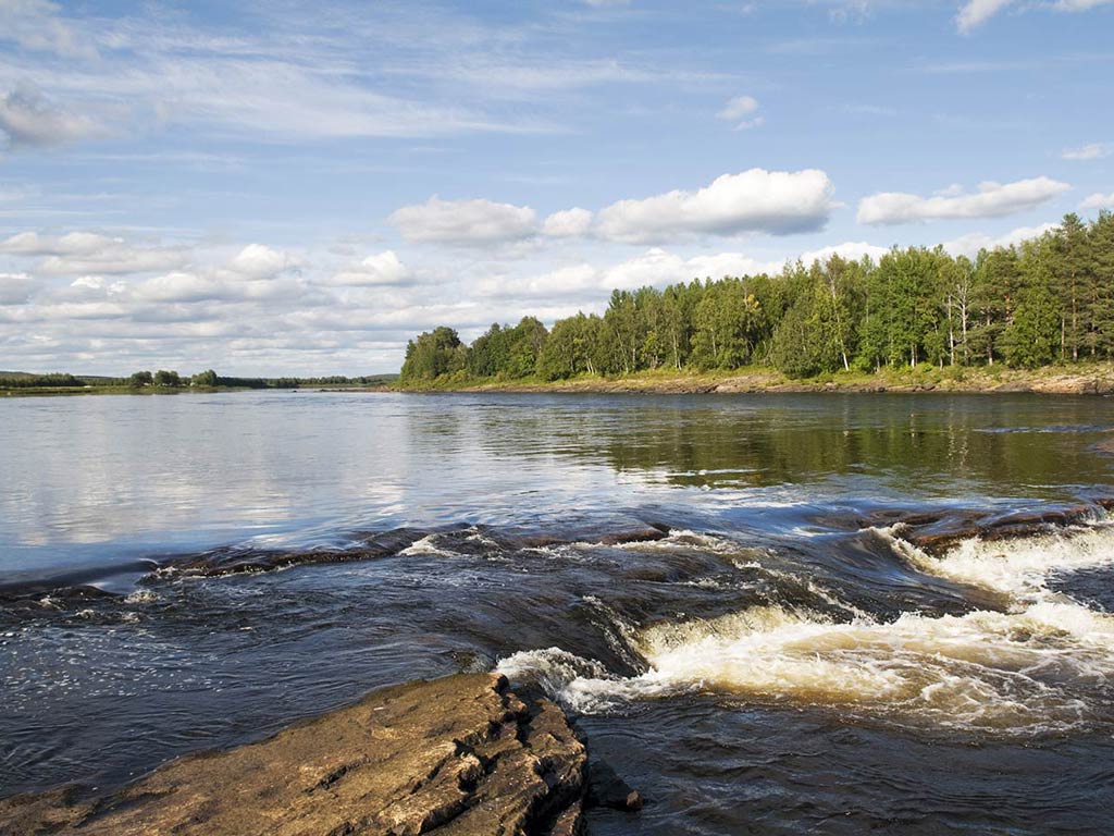 A scenic view shows a river with small rapids in the foreground, and lush green trees lining the banks under a partly cloudy sky