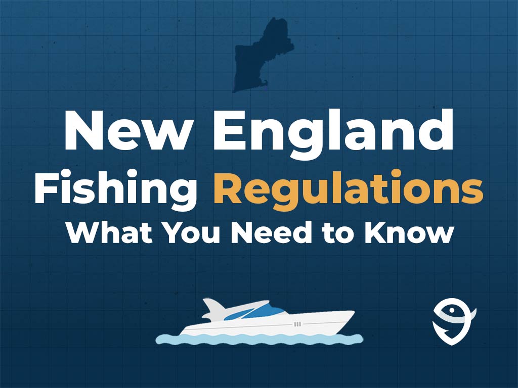 An infographic showing the map of New England along with text that says "New England Fishing Regulations What You Need to Know" against a dark blue background and above a vector of a boat and the FishingBooker logo