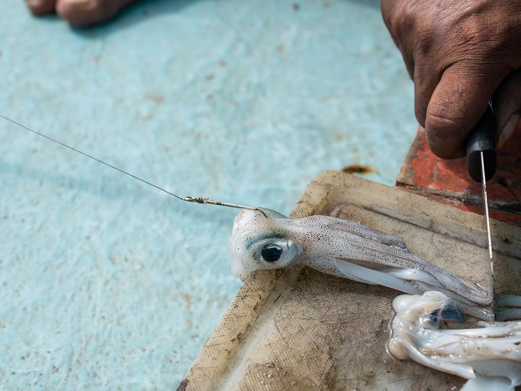 A person prepares a fresh Squid on a wooden cutting board, holding a knife near the Squid's body.