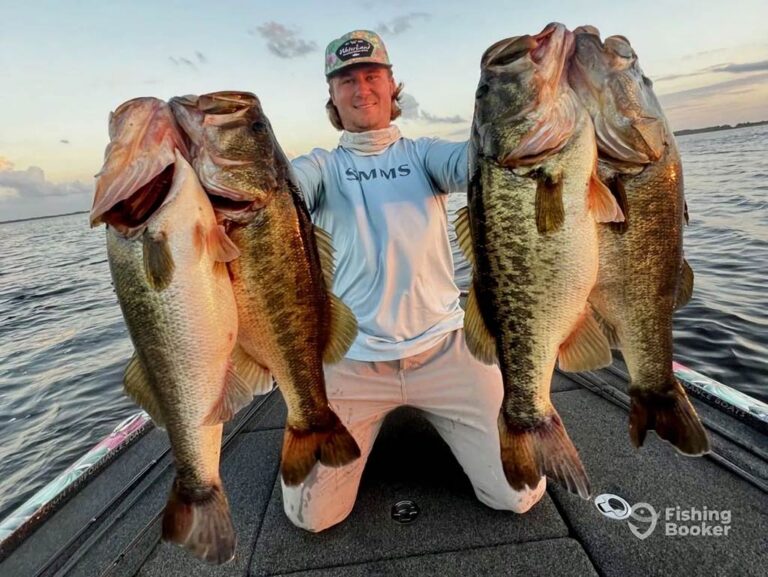 the-best-bass-fishing-times-an-angler-s-guide-for-2025