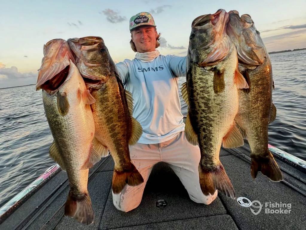 As the sun dips below the horizon, a person proudly displays four Largemouth Bass while kneeling on a boat