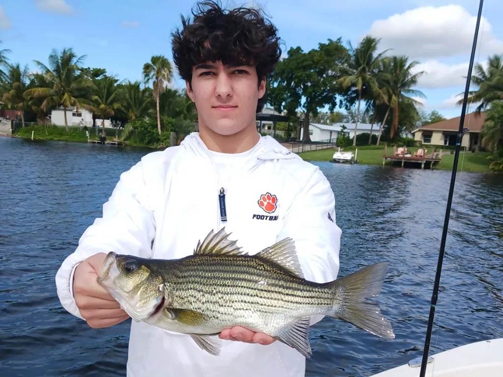 A person in a white jacket's holding a Hybrid Striped Bass by Lake Ida, with trees and houses in the background.
